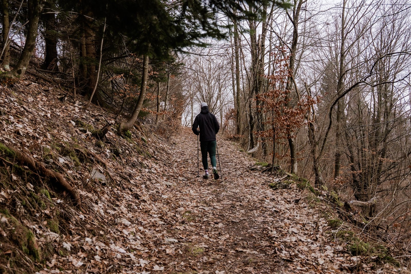 Person walking alone through a forest trail in nature